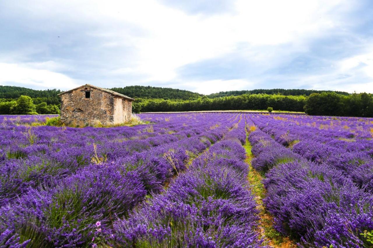 Petit Studio Atypique Et Cosy En Provence Saint-Étienne-les-Orgues Екстериор снимка